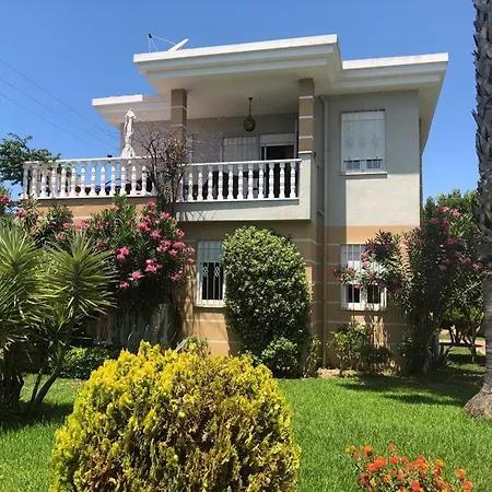 Villa Side * シダ