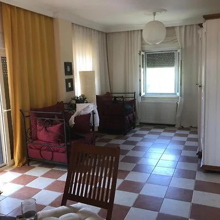 Villa Side * シダ